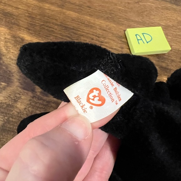 5/$20 BLACKIE the Ty Beanie Baby Bear - Picture 2 of 3